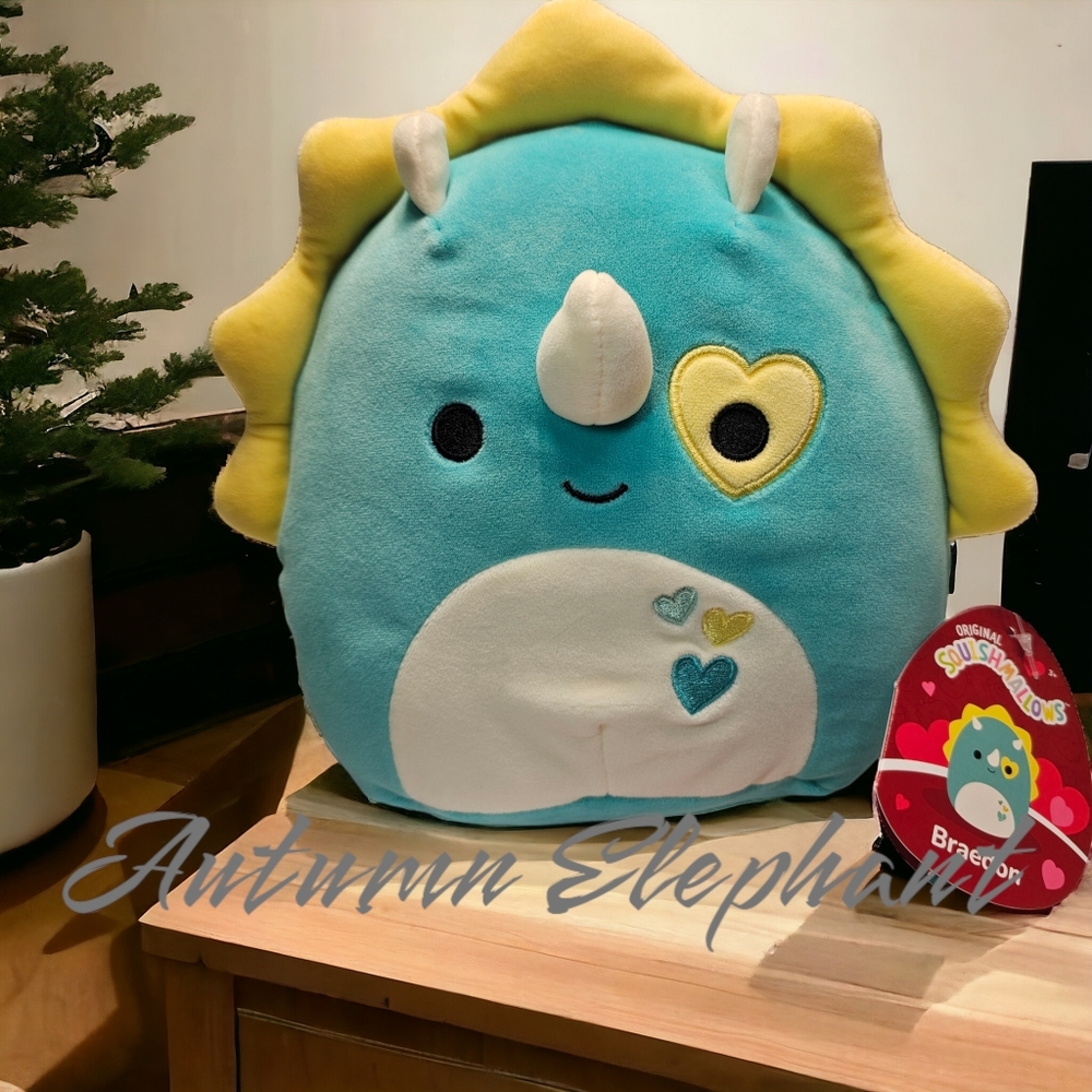 NWT Braedon Squishmallow